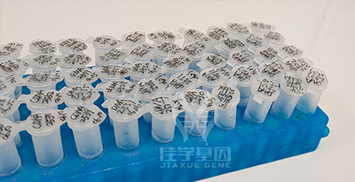 【佳学基因案例